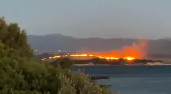 İzmir Aliağa'da Otluk Yangını