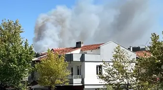 İzmir Urla'da Orman Yangını