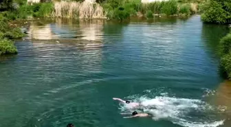 Gaziantep'te Aşırı Sıcaklardan Kaçış: Sıtma Pınar Çayı ve Ak Pınar Su Gözünde Serinleme