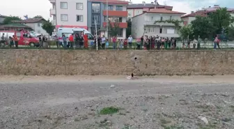 Kediyi Kurtarmaya Çalışan Genç Kadın Dere Yatağına Düştü