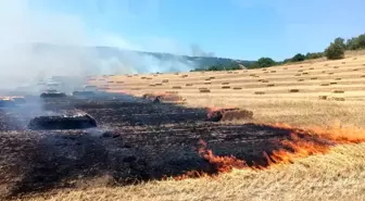 Balıkesir'de Anız Yangını Kontrol Altına Alındı