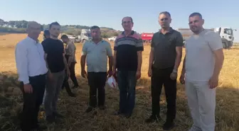 Balıkesir'de Tarım Arazisinde Çıkan Yangın Kontrol Altına Alındı