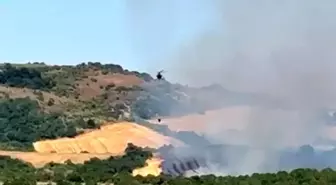 Balıkesir'de Orman Yangınına Hava Müdahalesi