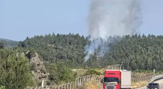 Tokat'ta Orman Yangını: Ekipler Müdahale Ediyor