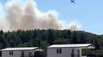 İzmir'in Urla İlçesinde Yangın Çıktı