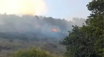 Yalova'da Orman Yangını Kontrol Altına Alındı