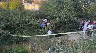 Zonguldak'ta Kontrolden Çıkan Kamyonet Fındık Bahçesine Uçtu: Sürücü Hayatını Kaybetti