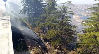 Afyonkarahisar'da Orman Yangını Kontrol Altına Alındı
