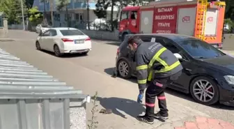 Batman'da Sıkışan Kedi İtfaiye Ekipleri Tarafından Kurtarıldı