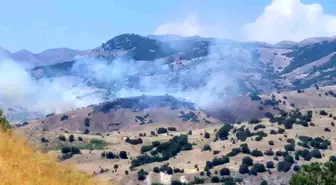 Bingöl'de Orman Yangını Kontrol Altına Alındı