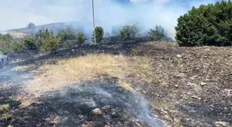Bingöl'de Ortaya Çıkan Yangın Kontrol Altına Alındı