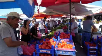 Erzincan Domatesi Bölge Sofralarını Süslüyor