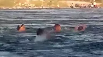 Fırat Nehri'nde Boğulma Tehlikesi: 3 Genç Kurtarıldı