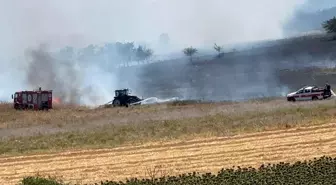 Tekirdağ'da Anız Yangınına Müdahale Devam Ediyor