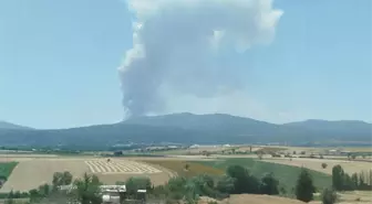 Konya'da Orman Yangını: Ekipler Müdahaleye Devam Ediyor