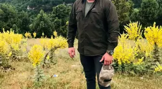 Kütahya'da Motosiklet Kazası: Sürücü Hayatını Kaybetti