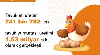 TÜİK Mayıs Ayı Hayvancılık ve Süt Üretimi Verilerini Açıkladı