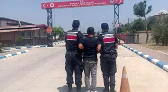 Osmaniye'de Jandarma Operasyonları: 123 Gözaltı ve Uyuşturucu Ele Geçirildi