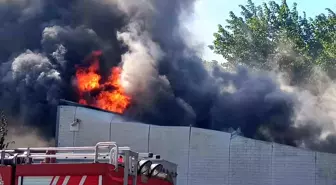 Pendik'te atık su arıtma tesisinde yangın çıktı. Olay yerine çok sayıda itfaiye ekibi sevk edildi.