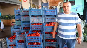 Kahramanmaraş'ta Domates Fiyatları 3 TL'ye Düştü, Salça Sezonu Bekleniyor