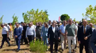 Sinop'ta Şehit Ömer Can Açıkgöz'ün adı hatıra ormanında yaşatılıyor