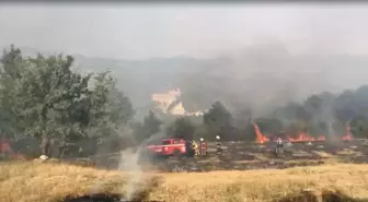 Beypazarı'nda Tarım Arazisinde Yangın Kontrol Altına Alındı