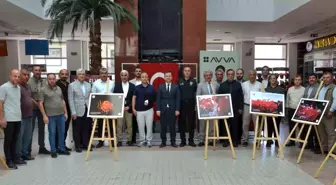 Tatvan'da 15 Temmuz Fotoğraf Sergisi Açıldı