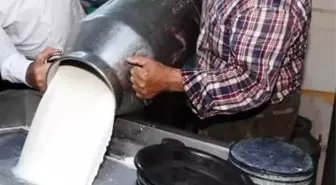 Mayıs Ayında İnek Sütü Toplama Miktarı 999 Bin Tonu Aştı