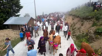 Akçaabat'ta Geleneksel Yayla Göçü Şenliği Yağmurlar Eşliğinde Kutlandı