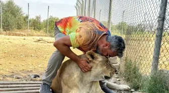 Diyarbakırlı İş Adamından Aslan Saldırısına Tepki