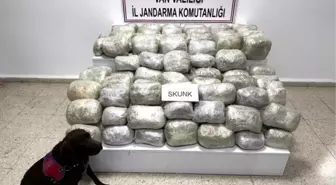 Van'da Jandarma Operasyonu: 70 Kilo Skunk Ele Geçirildi