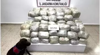 Van'ın Başkale İlçesinde 70 Kilogram Skunk Uyuşturucu Ele Geçirildi