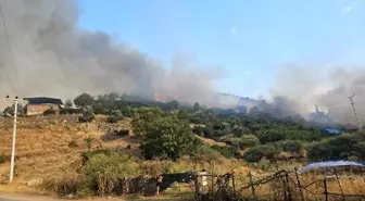 Aydın'da Yangın Büyümeden Söndürüldü