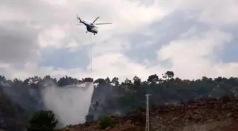 Adıyaman'da Orman Yangını: 200 Dönüm Alan Yandı