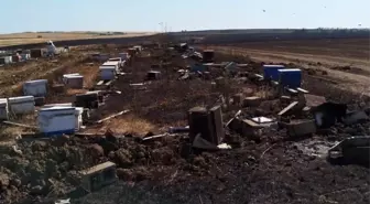Tekirdağ'da Anız Yangını: 400 Arı Kovanı Yandı