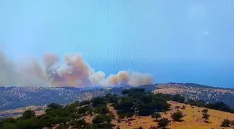 Çanakkale'de Orman Yangınına Müdahale Devam Ediyor