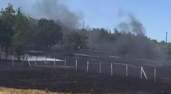 Bartın'da Anız Yangını Ormana Sıçradı