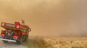 Mudurnu'da Tarım Arazisinde Yangın Ormana Sıçradı