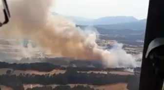 Bolu'da Anız Yangını Ormana Sıçradı, Kontrol Altına Alındı