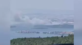 Karacabey'de Sazlık Alanda Yangın