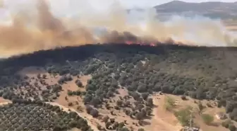 Bursa'da Sazlık Alanda Yangın Kontrol Altına Alındı