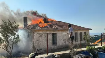 Ayvacık'ta Orman Yangını Köye Zarar Verdi