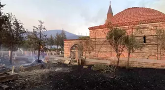 Çanakkale'de Orman Yangını: Tarihi Mekanlar ve Tarım Arazileri Zarar Gördü