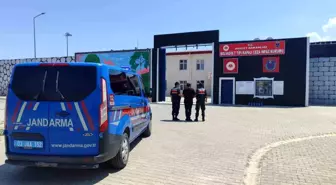 Hapis Cezasıyla Aranan Şahıs Jandarma Tarafından Yakalandı