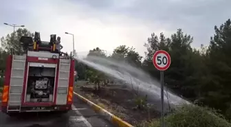 Dicle Üniversitesi Kampüsünde Yangın: 20 Ağaç Zarar Gördü