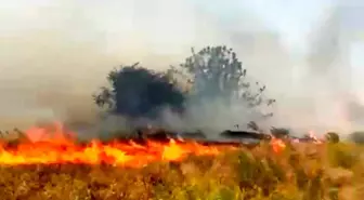 Malatya'da Bahçede Yangın Çıktı
