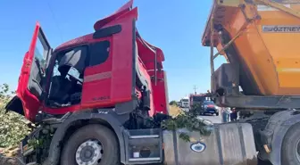 Tekirdağ'da Hafriyat Kamyonu Ağaçla Çarpıştı: 2 Yaralı