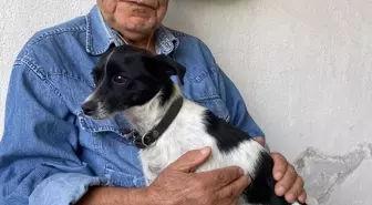 89 Yaşındaki Adamın Sadık Köpeği Bediş, Kurtarma Anında Yanında Oldu