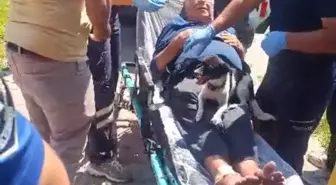 89 Yaşındaki Adam Elektrikli Bisikletle Nehre Düştü, Köpeği Yanında Kalıp Kurtarma Anını İzledi