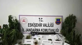 Eskişehir'de Kenevir Operasyonu: Çok Sayıda Narkotik Madde ve Silah Ele Geçirildi